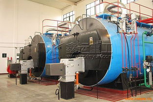 燃气锅炉与燃煤锅炉中金属软管的应用与重要性