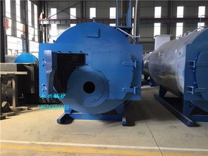 河南4吨WNS蒸汽锅炉低氮改造 燃气锅炉安装中金属软管的关键作用与要点